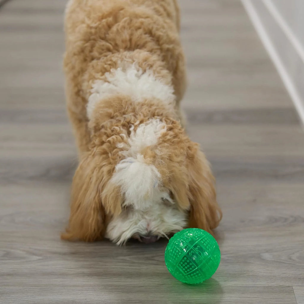 Interactive Treat Dispensing Puzzle Ball for Dogs