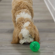 Interactive Treat Dispensing Puzzle Ball for Dogs