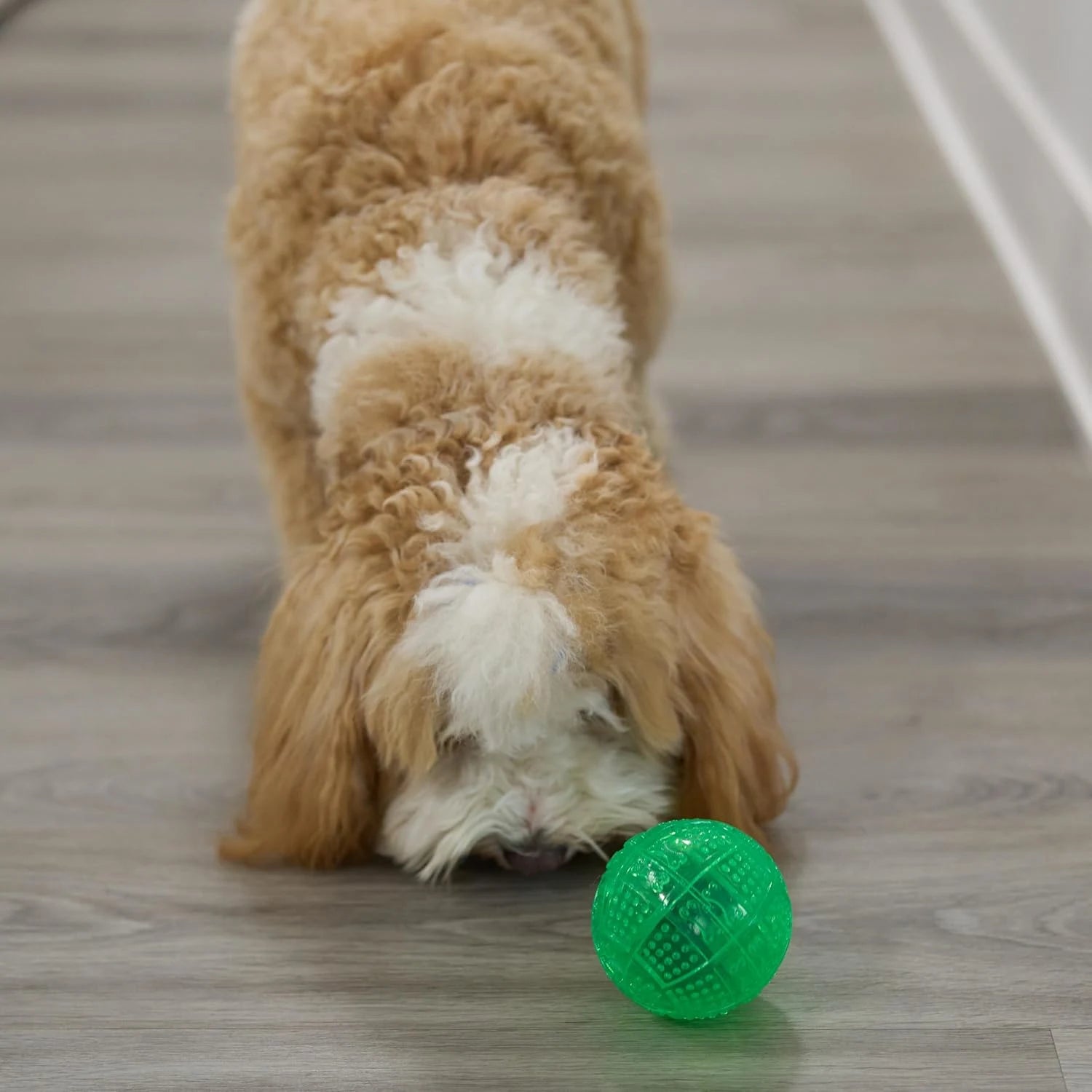 Interactive Treat Dispensing Puzzle Ball for Dogs