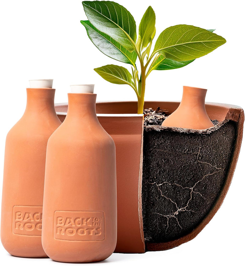 Self-Watering Olla Pots