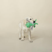Shark Plush Squeaky Dog Toy