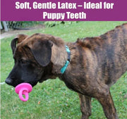 Puppy Pacifier Squeaky Chew Toy