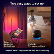 Smart Gradient LED Floor Lamp