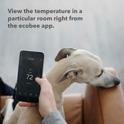 Smart Temperature Occupancy Sensor Pack
