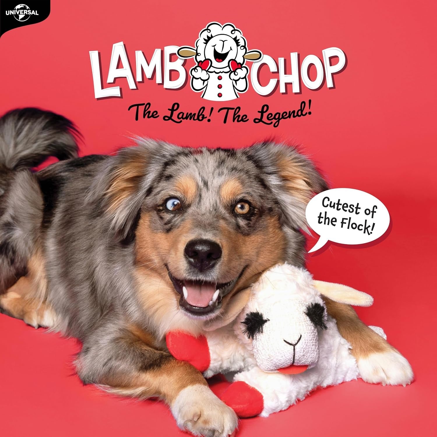 Soft Squeaky Lamb Dog Toy