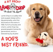 Soft Squeaky Lamb Dog Toy