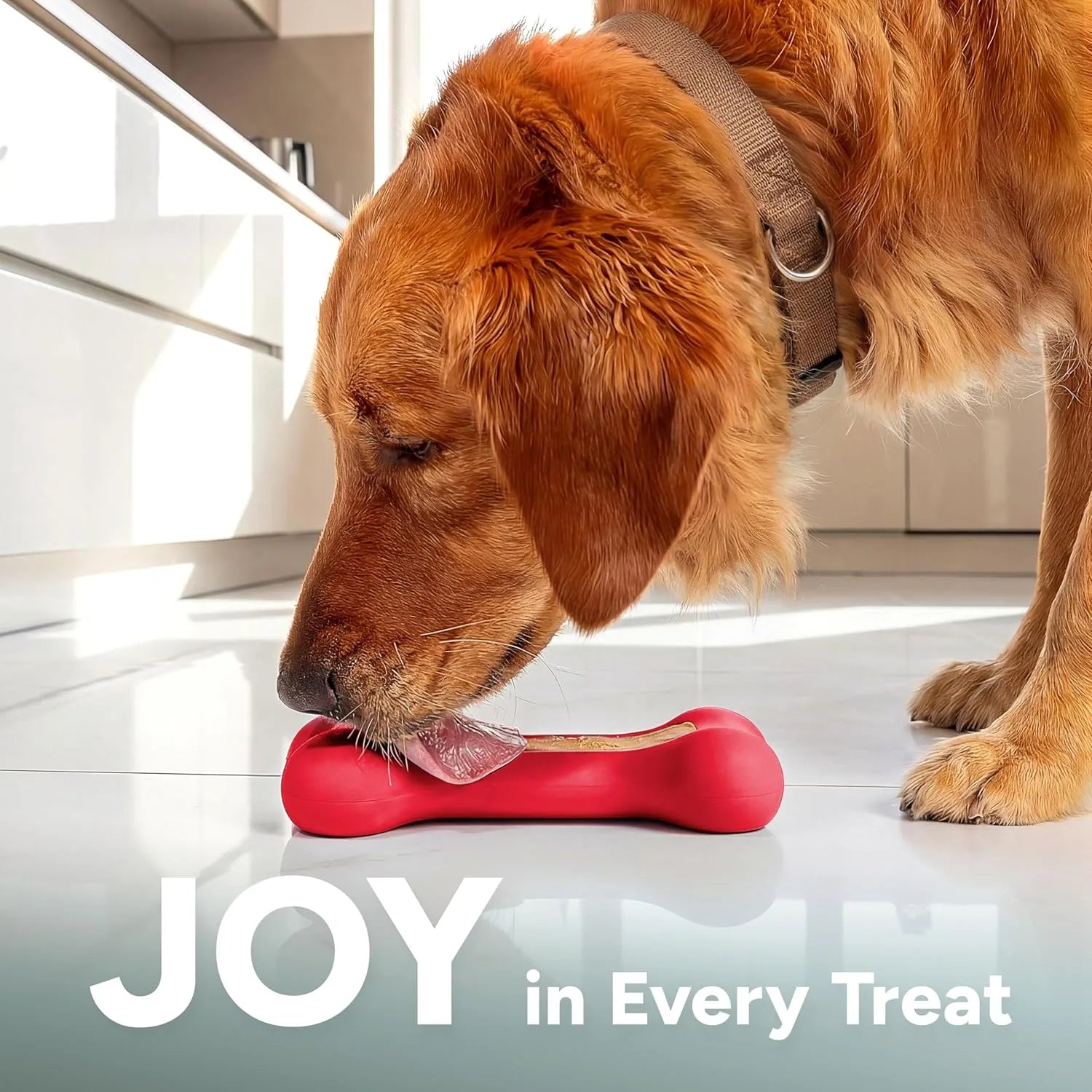 Dog Enrichment Treat Holder Toy