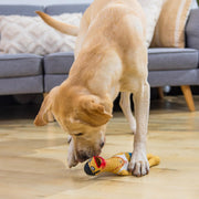 Squawkers Earl Latex Squeaky Chicken Dog Toy