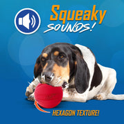 Squeaky Fetch Ball Dog Toy Set – 2 Pack