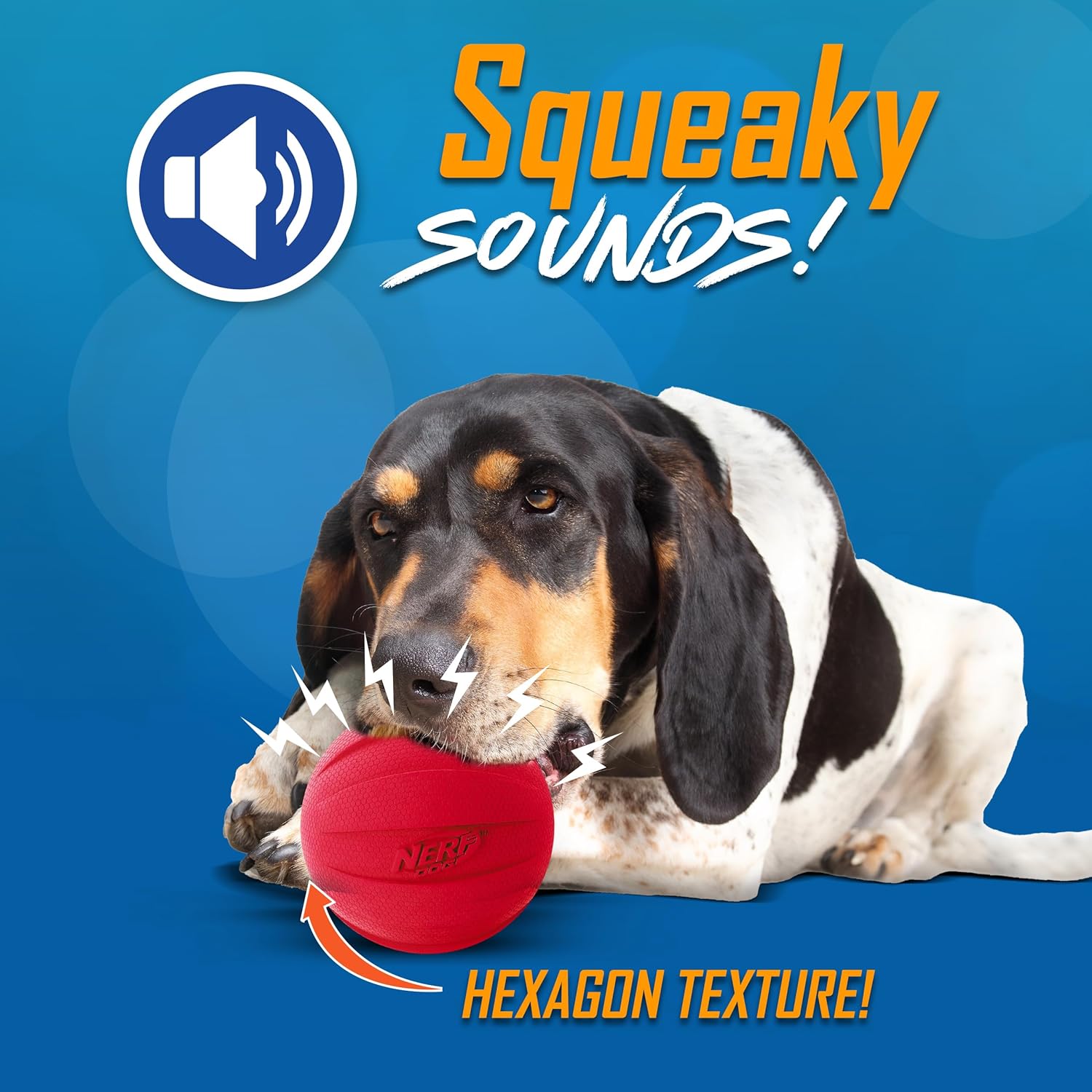 Squeaky Fetch Ball Dog Toy Set – 2 Pack