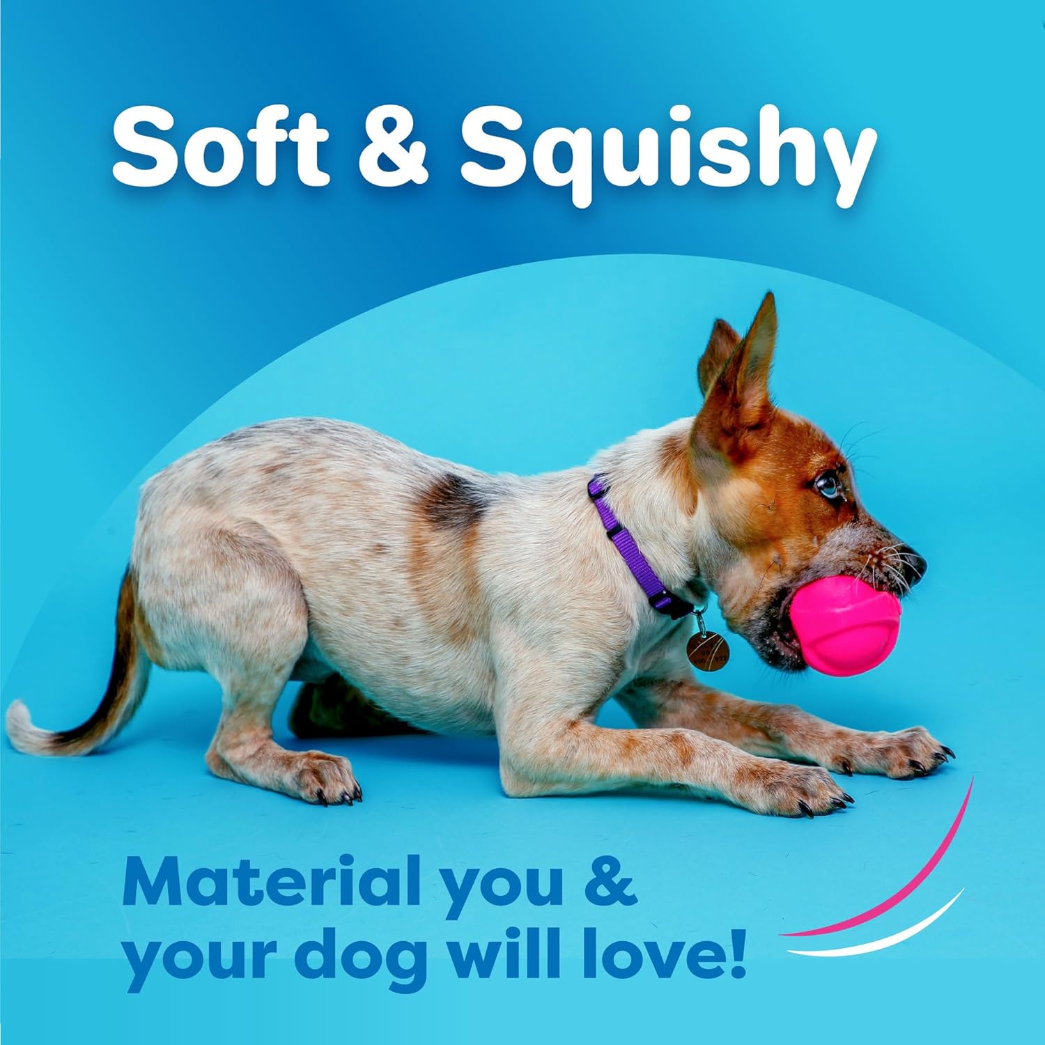 Squeaky Latex Dog Ball Toy Set (3 Pack)