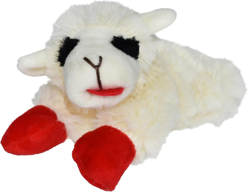 Squeaky Plush Dog Chew Toy
