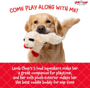 Squeaky Plush Dog Chew Toy