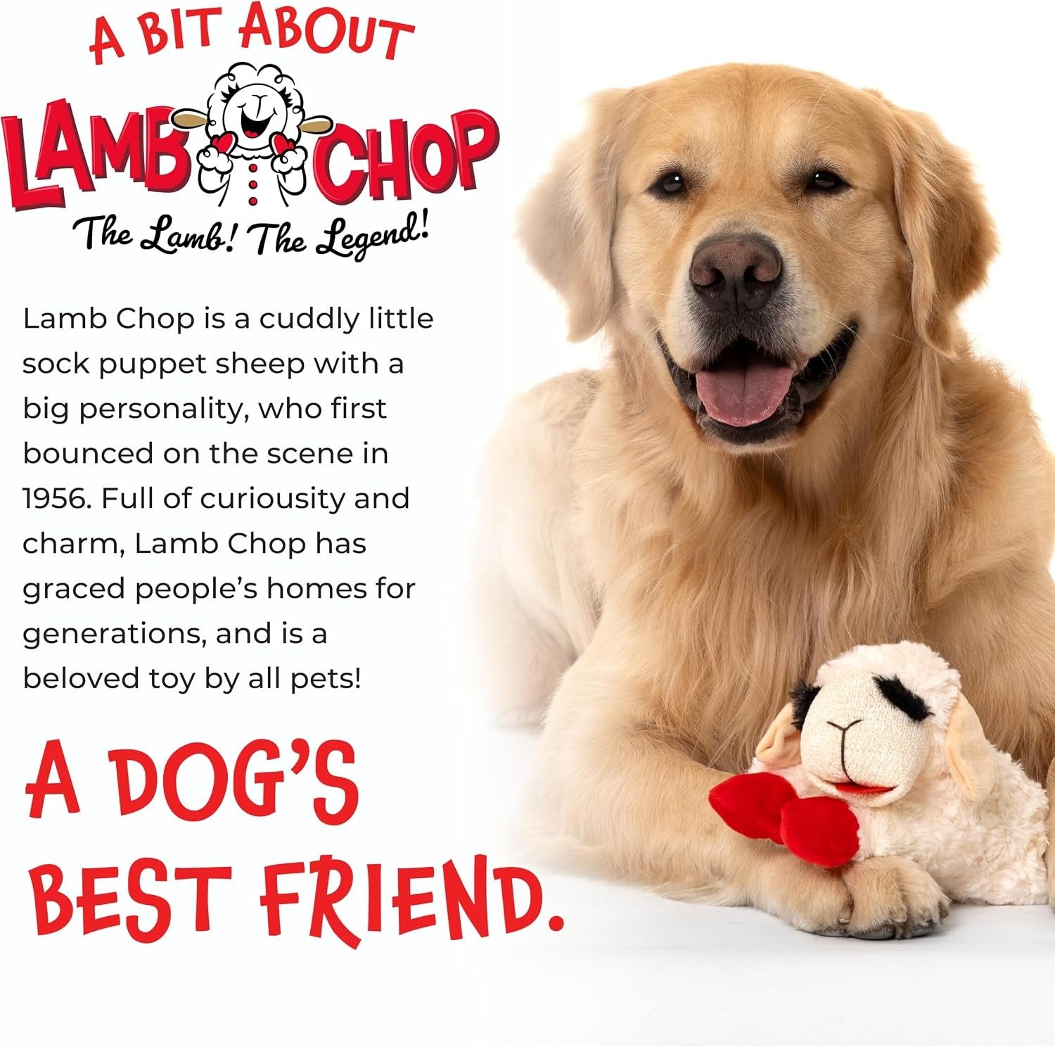 Squeaky Plush Dog Chew Toy