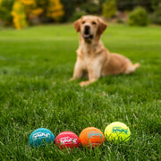 Squeaky Tennis Ball Dog Pack