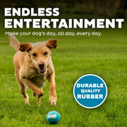 Squeaky Tennis Ball Dog Pack