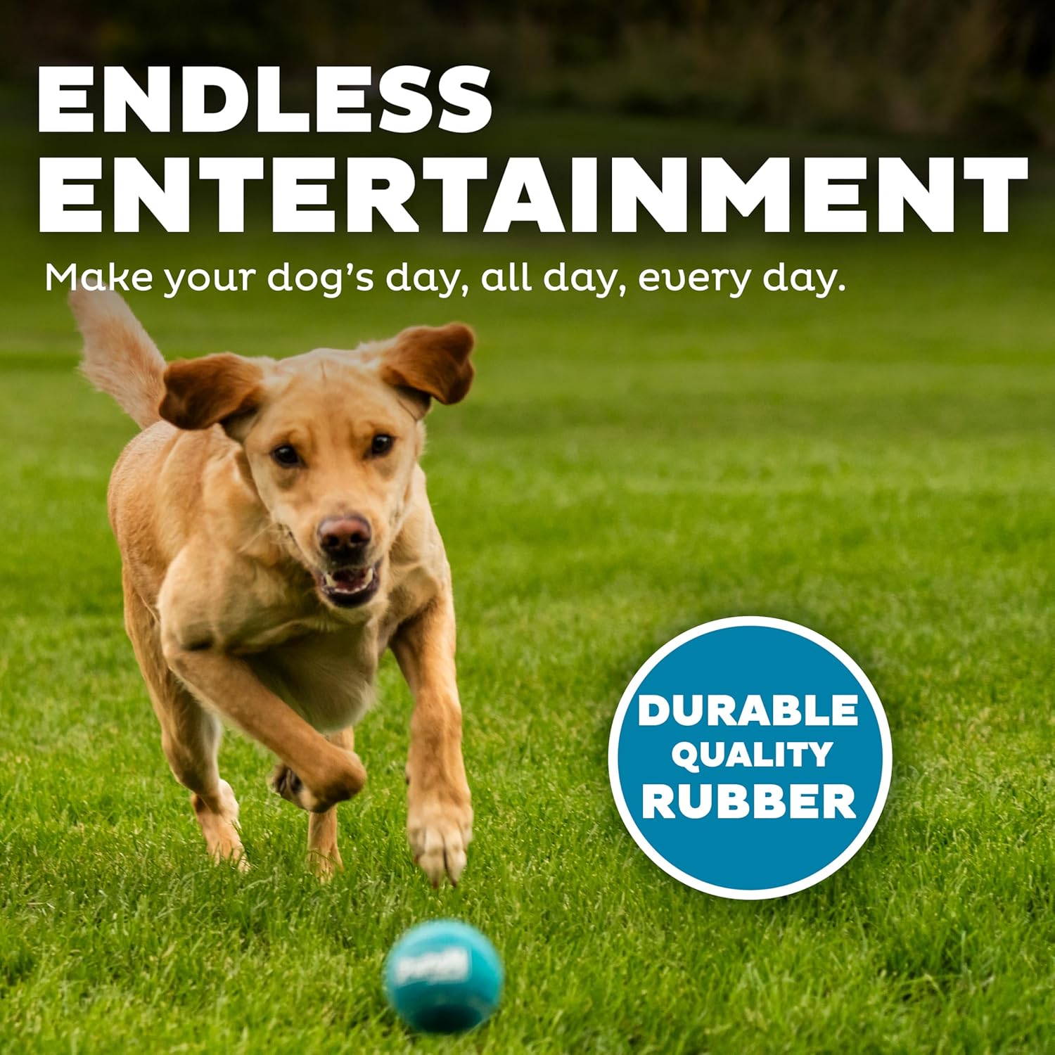 Squeaky Tennis Ball Dog Pack