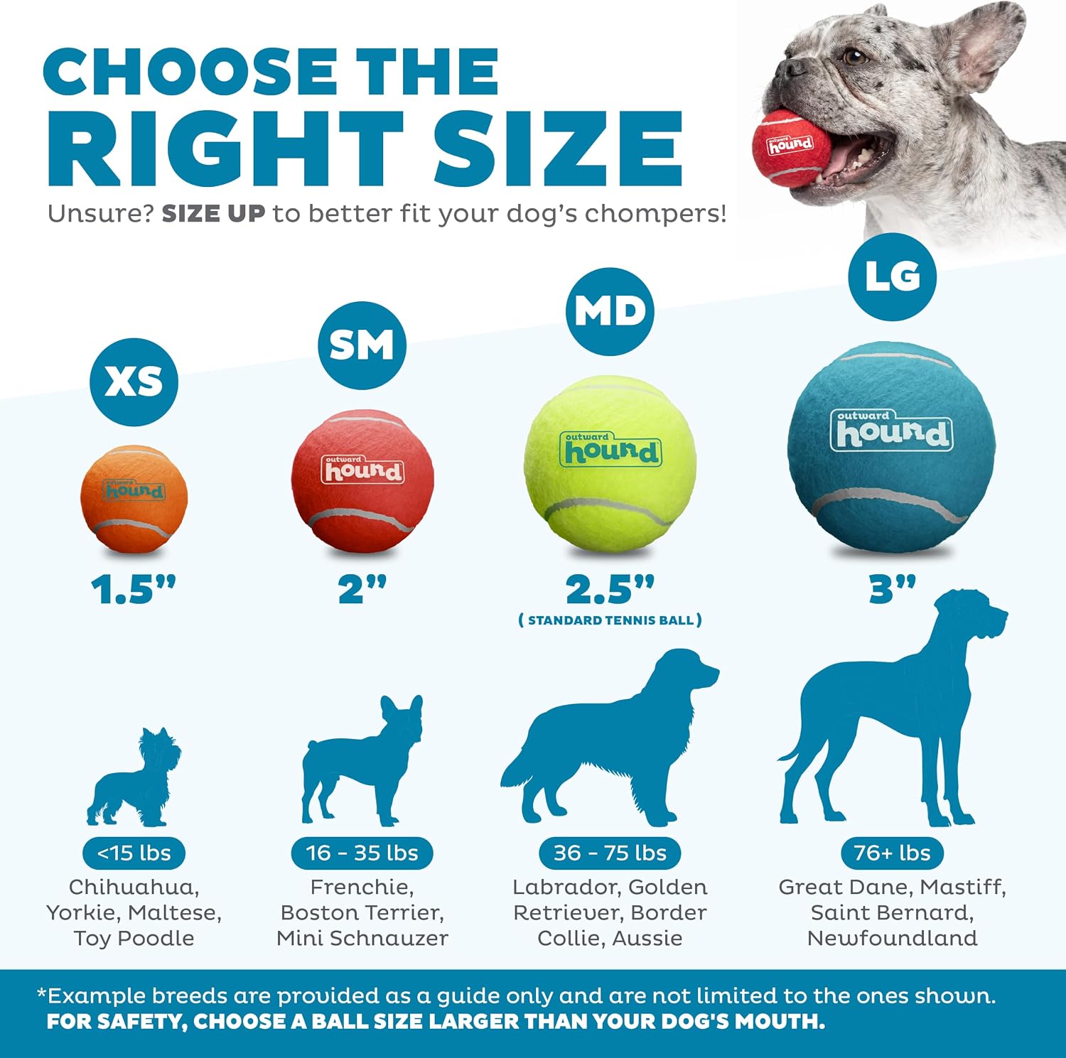 Squeaky Tennis Ball Dog Pack