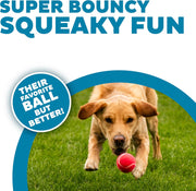 Squeaky Tennis Ball Dog Pack