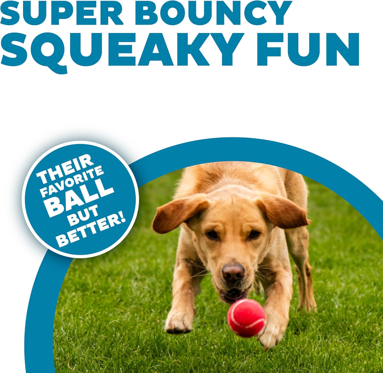 Squeaky Tennis Ball Dog Pack