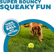 Squeaky Tennis Balls Dog Toy