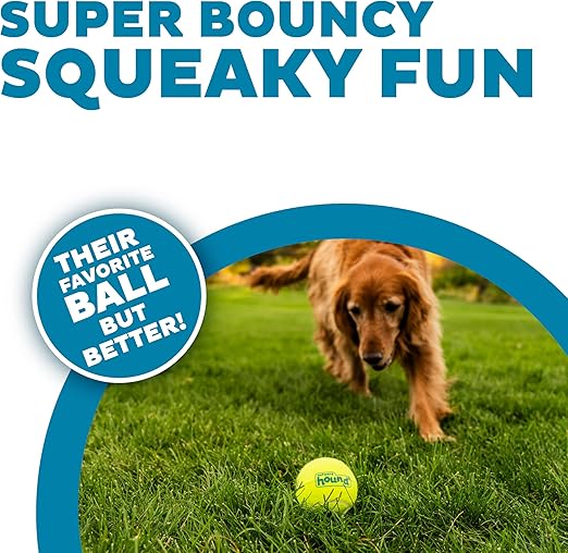 Squeaky Tennis Balls Dog Toy
