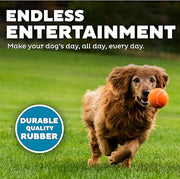 Squeaky Tennis Balls Dog Toy