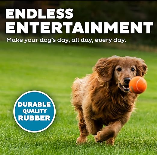 Squeaky Tennis Balls Dog Toy