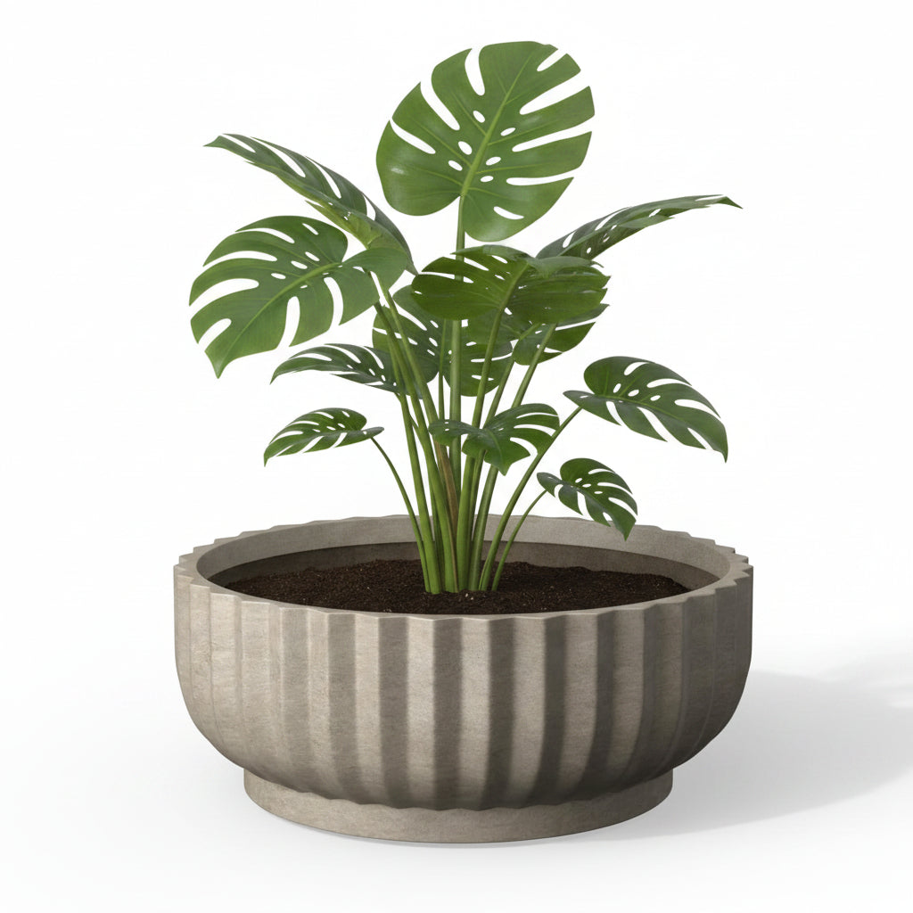 Stone Texture Planter