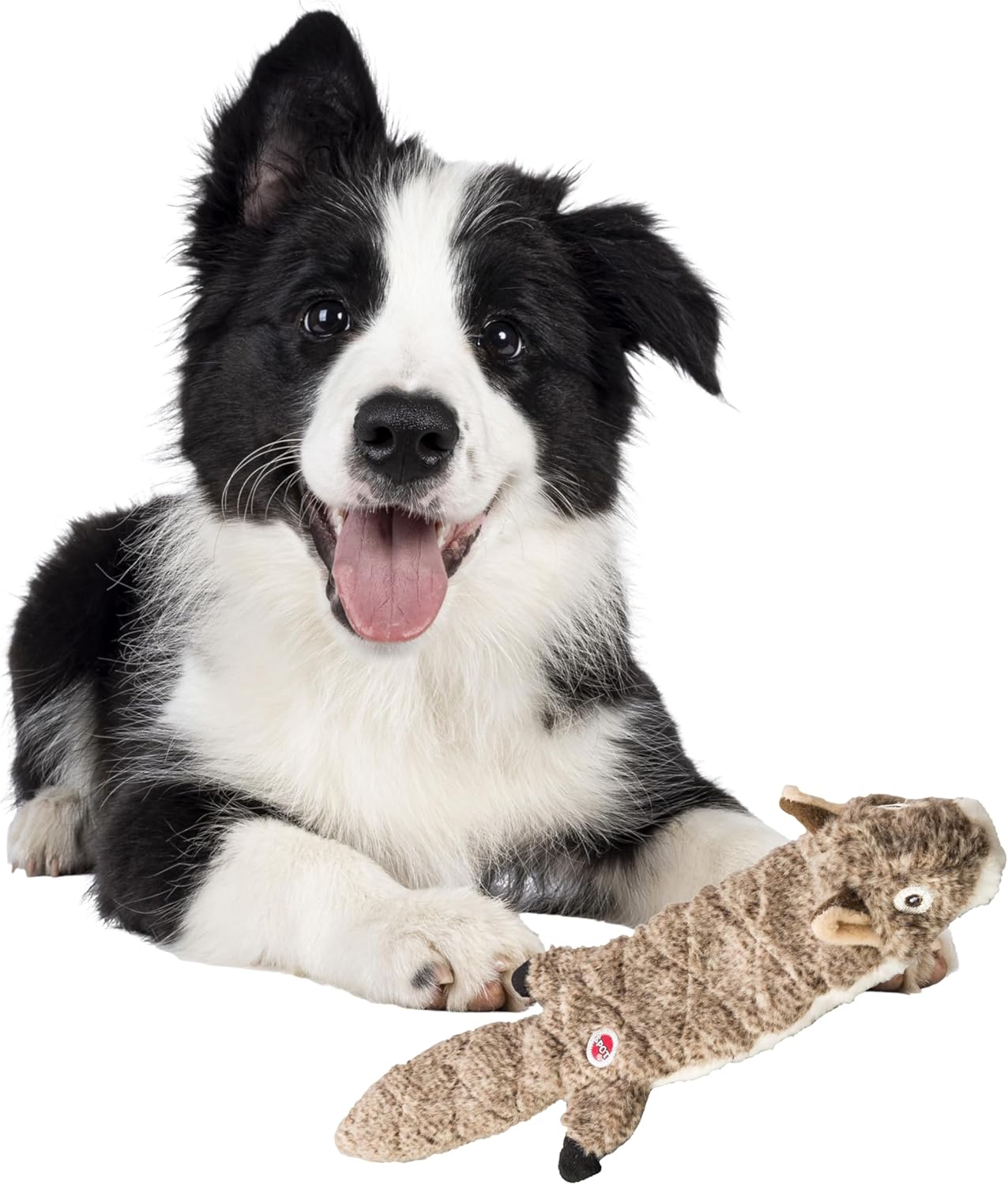 Stuffing Free Squirrel Dog Toy