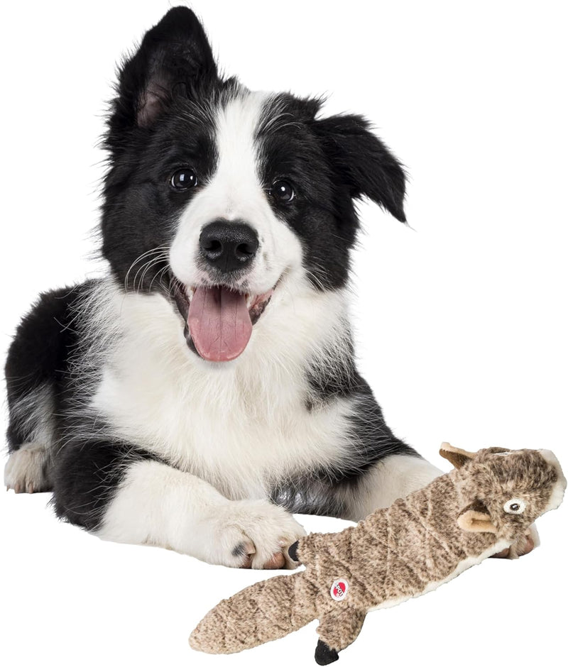 Stuffing Free Squirrel Dog Toy