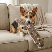 Stuffing Free Squirrel Dog Toy