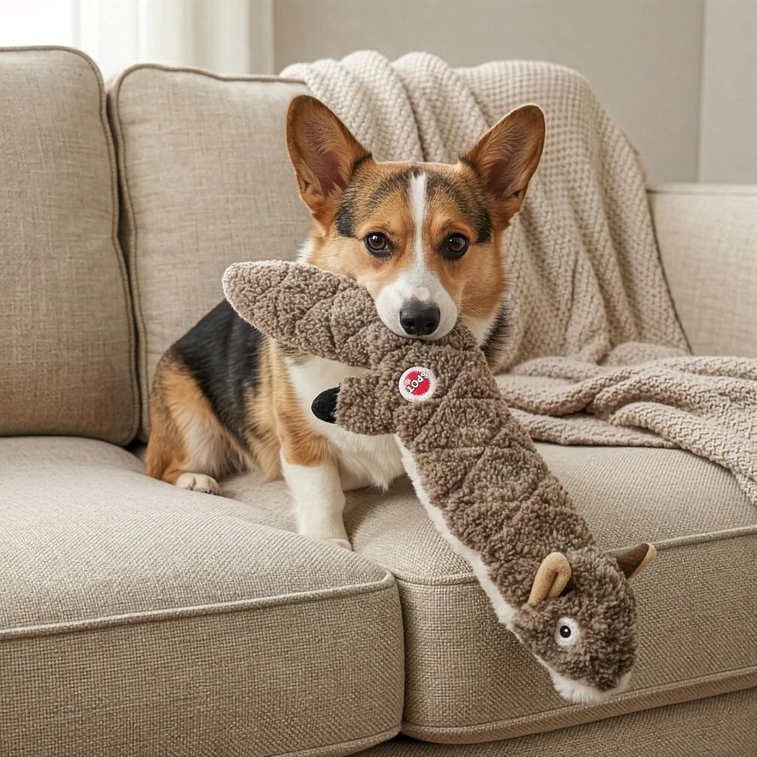 Stuffing Free Squirrel Dog Toy
