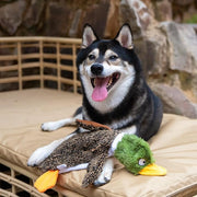 Stuffless Duck Dog Play Toy