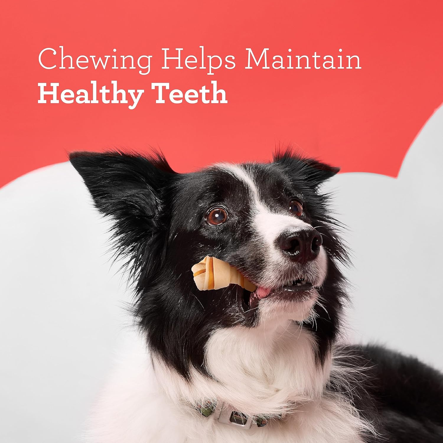 Sweet Potato Mini Dog Chews