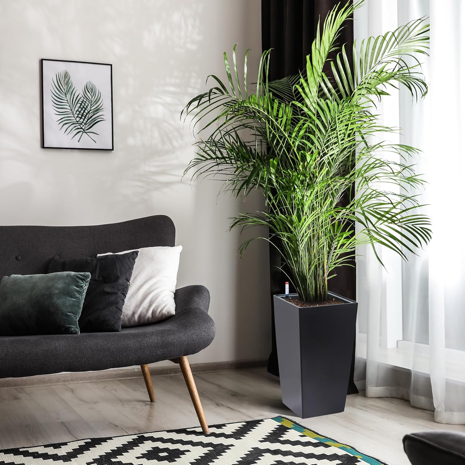 Tall Black Planter Set