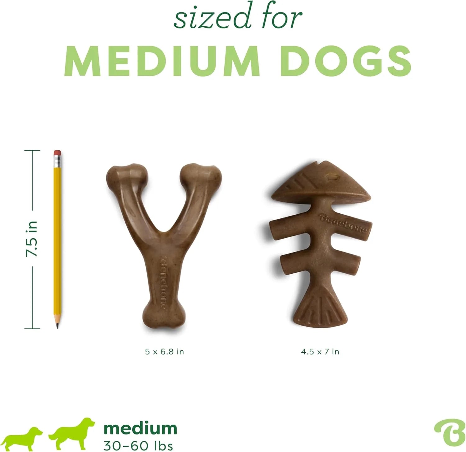 Fishbone & Wishbone Durable Dog Chew Toy Set (2-Pack)