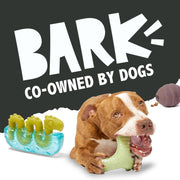 Tough Dental Chew Dog Toy