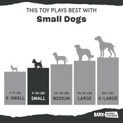 Tough Dental Chew Dog Toy