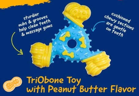 TriBone Dental Chew Toy for Dogs