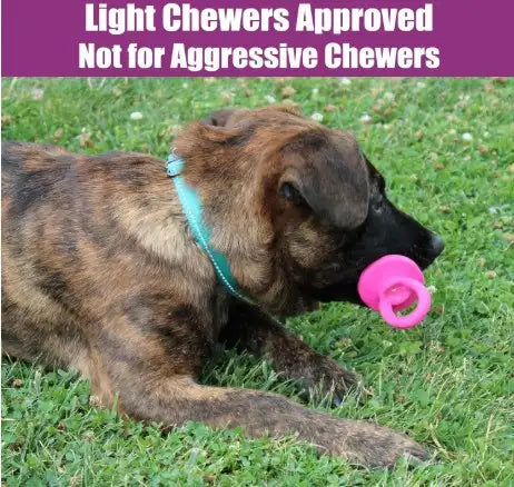 Puppy Pacifier Squeaky Chew Toy
