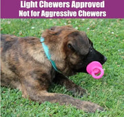 Puppy Pacifier Squeaky Chew Toy