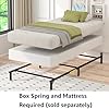 Twin Metal Bed Frame
