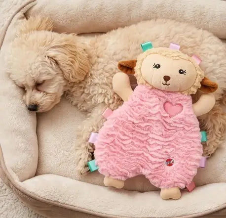 Calming Lamb Plush Dog Toy