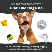 Two In One Chew Toy