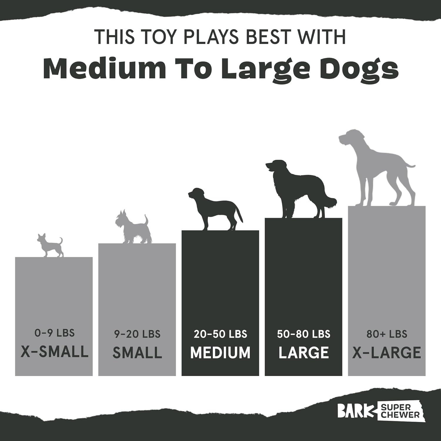Two In One Chew Toy