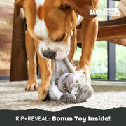 Two In One Chew Toy