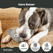 Two In One Chew Toy