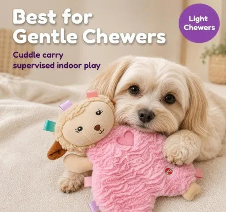 Calming Lamb Plush Dog Toy