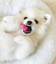 Puppy Textured Teething Chew Bone